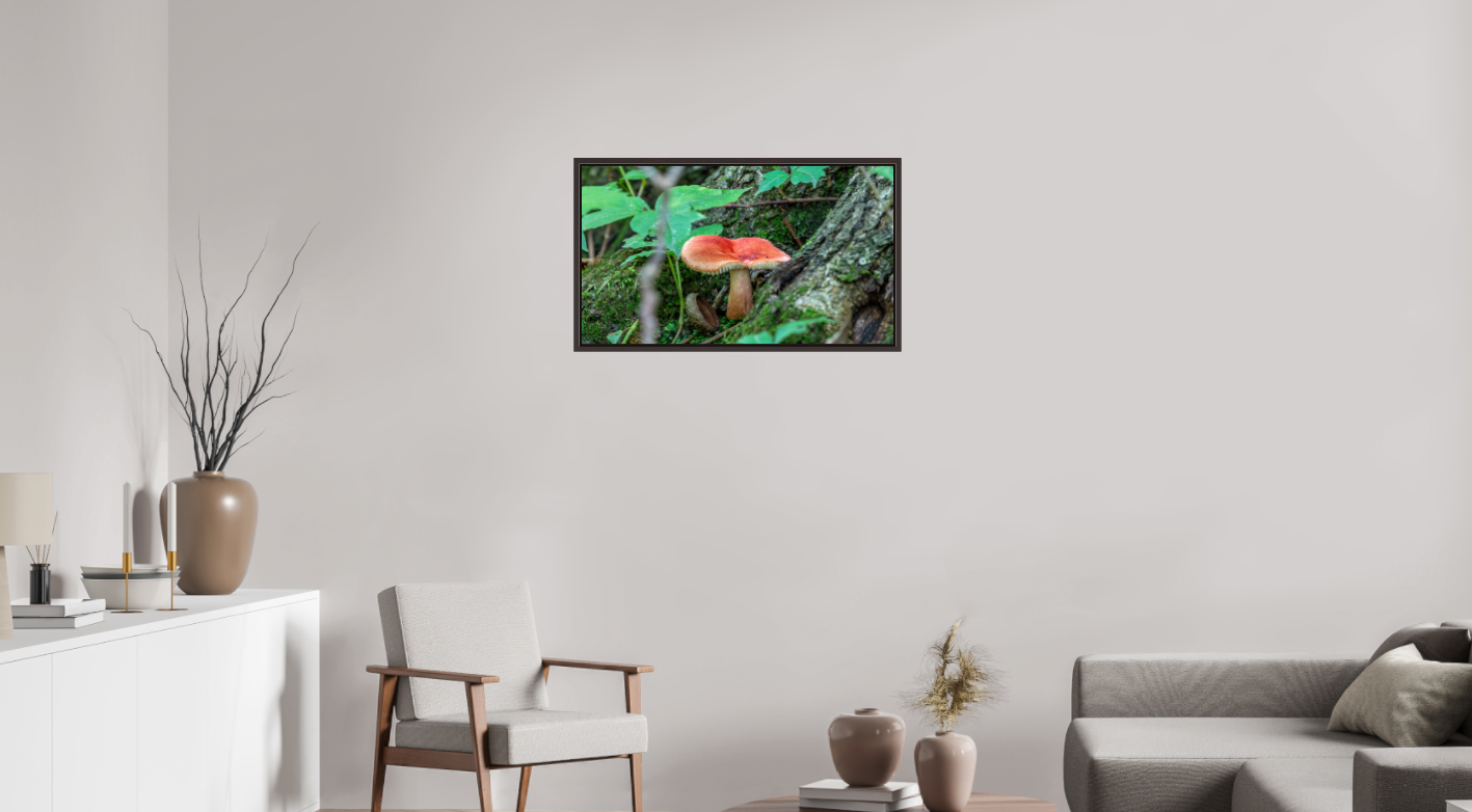 Red Russula on Hahnemühle Photo Rag Baryta (print only)