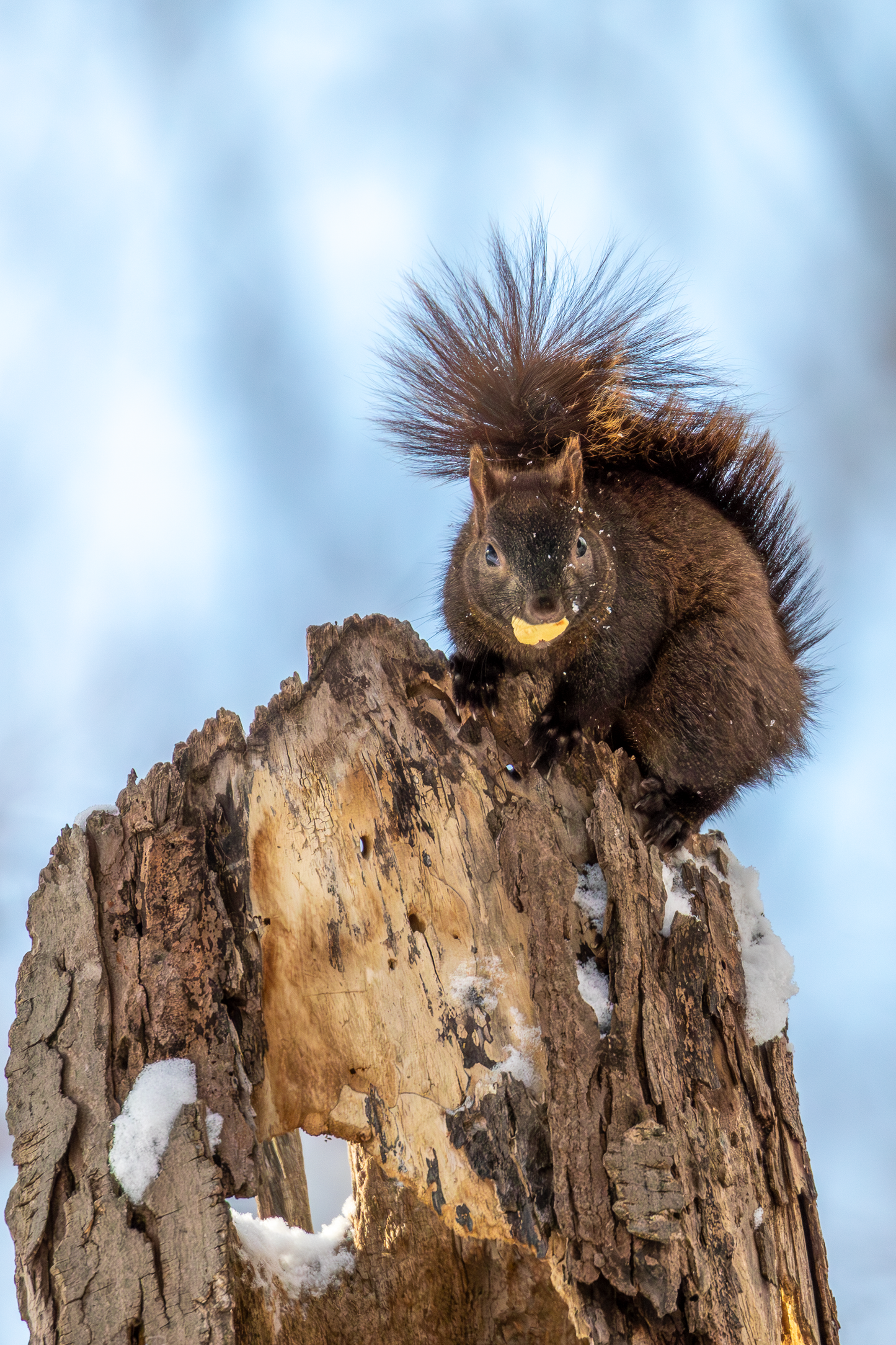 All photographs are printed on Hahnemühle fine art paper. Made in Germany since 1584, Hahnemühle paper offers the highest archival-quality and has a life expectancy of several hundred years.