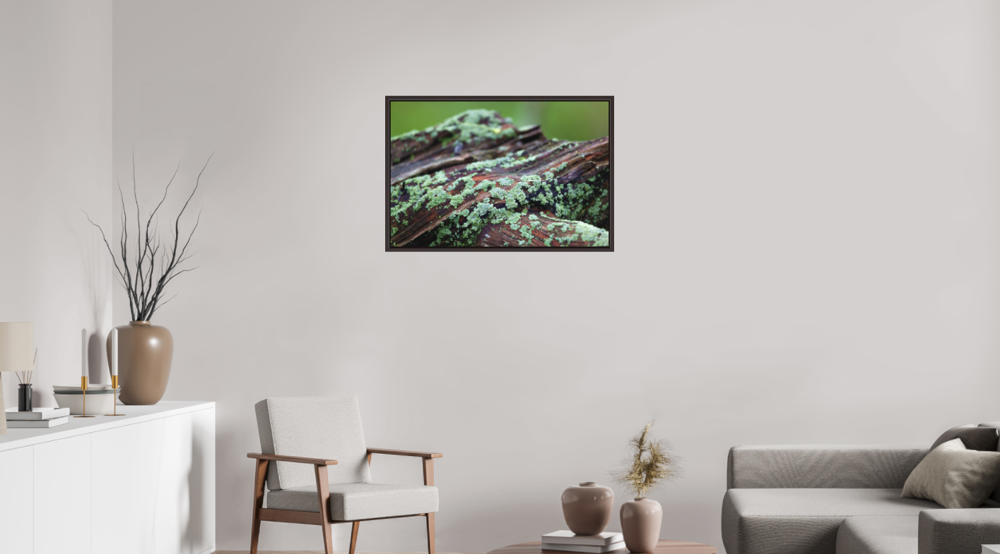 Lichen and Wood on Hahnemühle FineArt Pearl (print only)