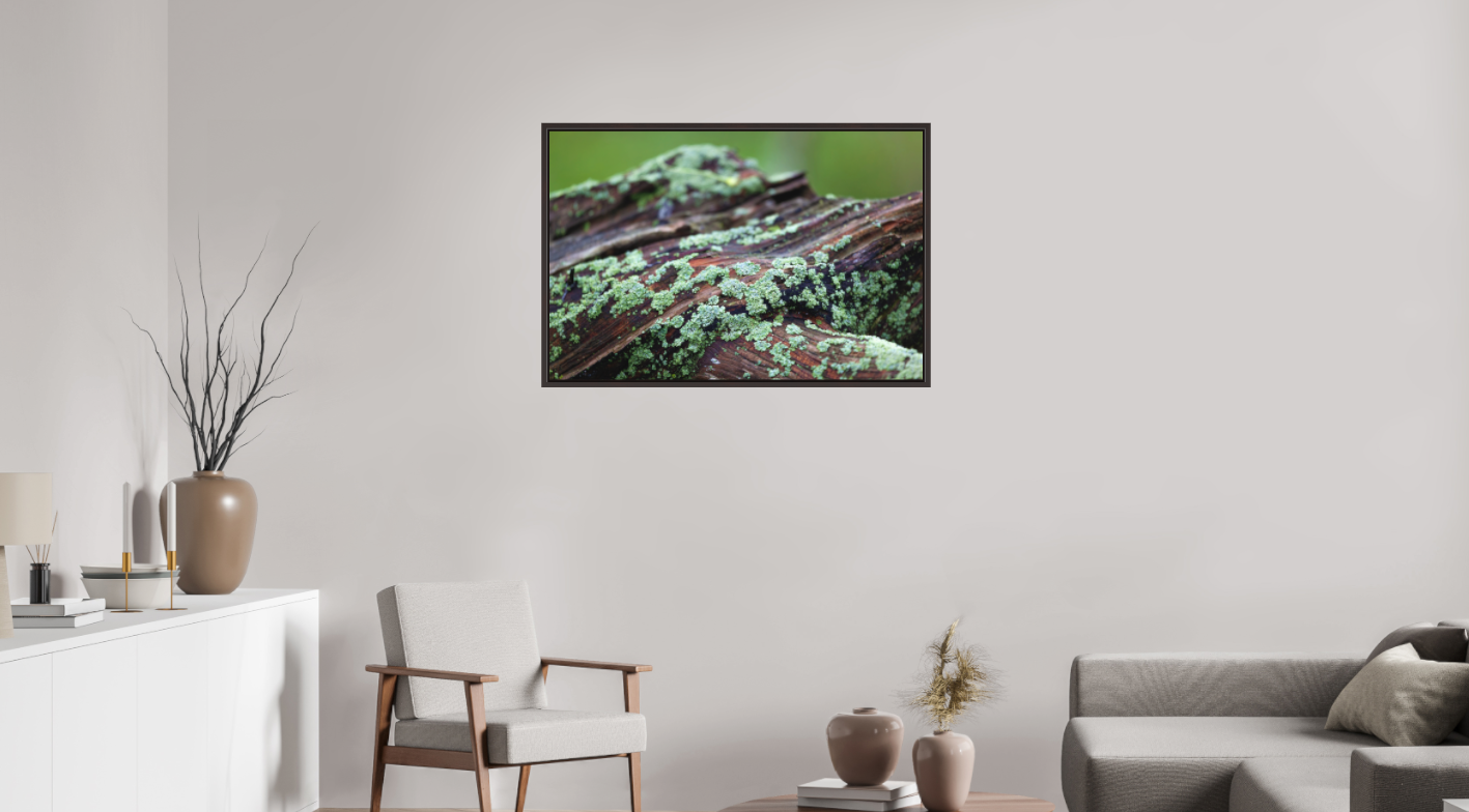 Lichen and Wood on Hahnemühle FineArt Pearl (print only)