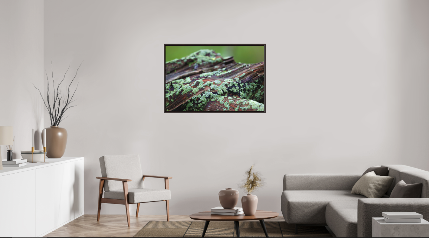 Lichen and Wood on Hahnemühle FineArt Pearl (print only)