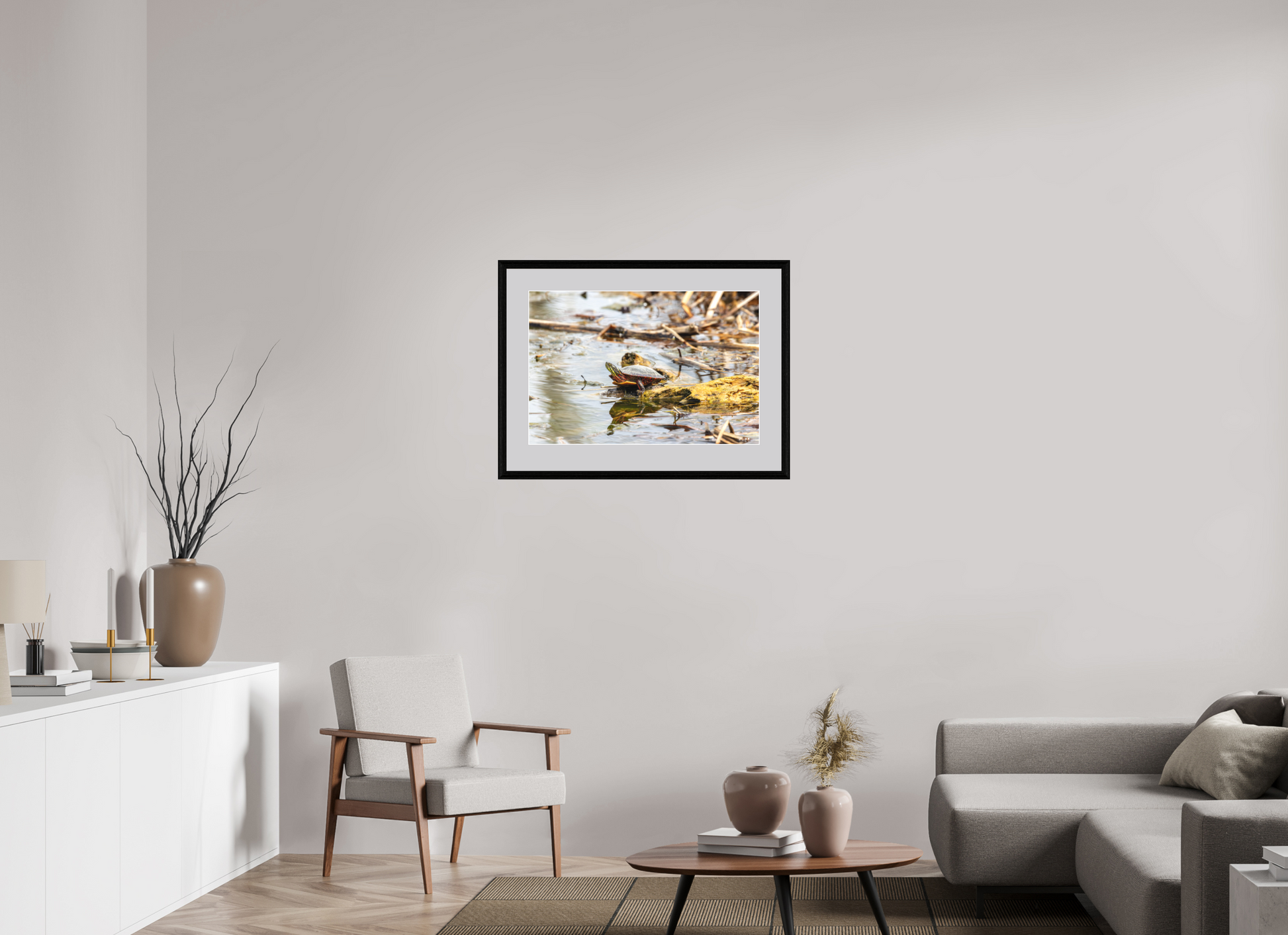 75 x 50 cm, Hahnemühle FineArt Pearl (framed) Midland Painted Turtle on Hahnemühle FineArt Pearl (framed only)