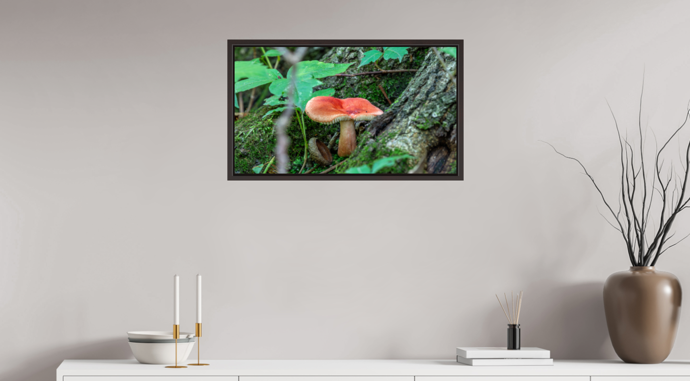 Red Russula on Hahnemühle Photo Rag Baryta  (print only)