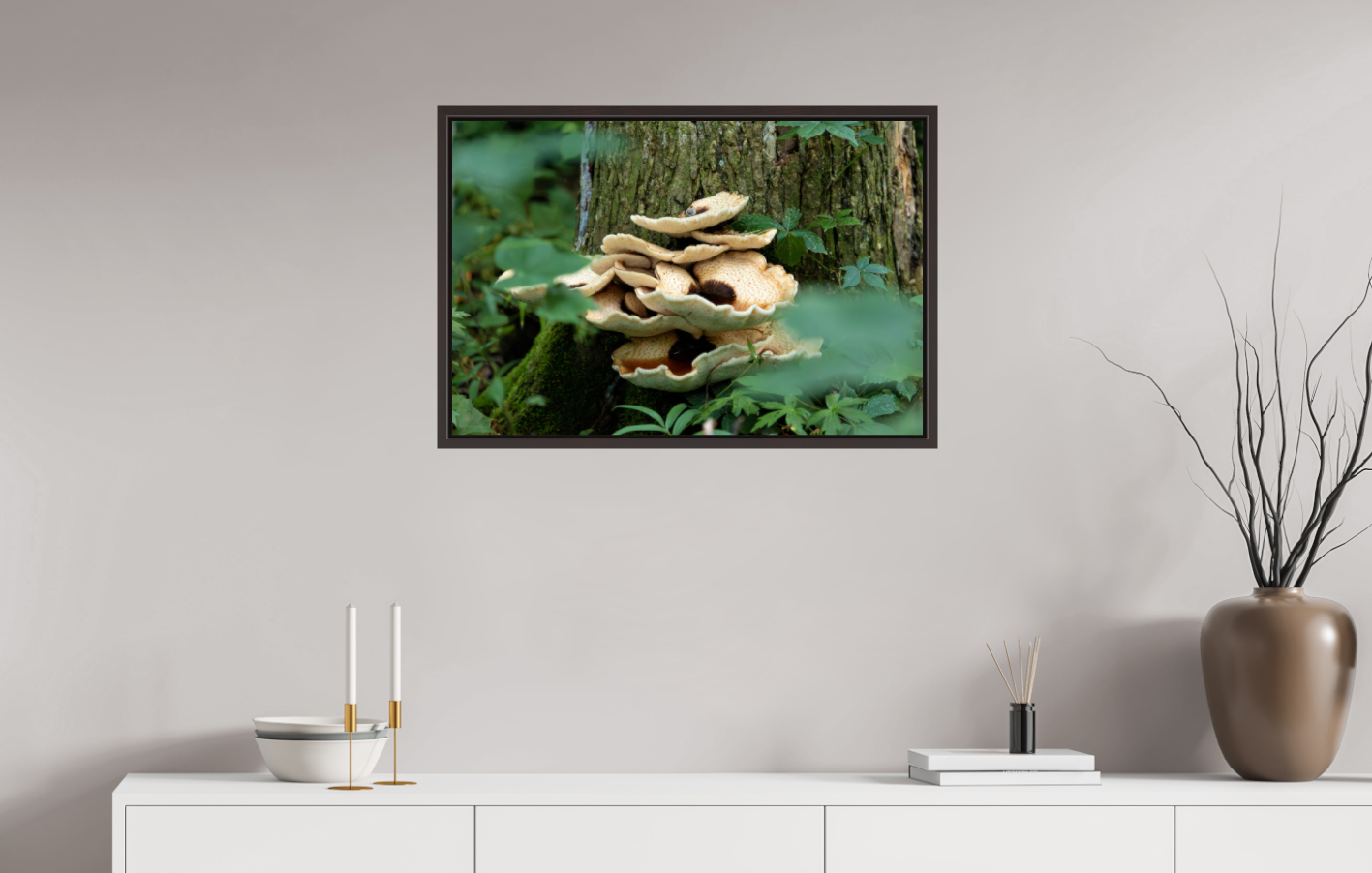 Bracket Fungi (II) on Hahnemühle Photo Rag Baryta (print only)