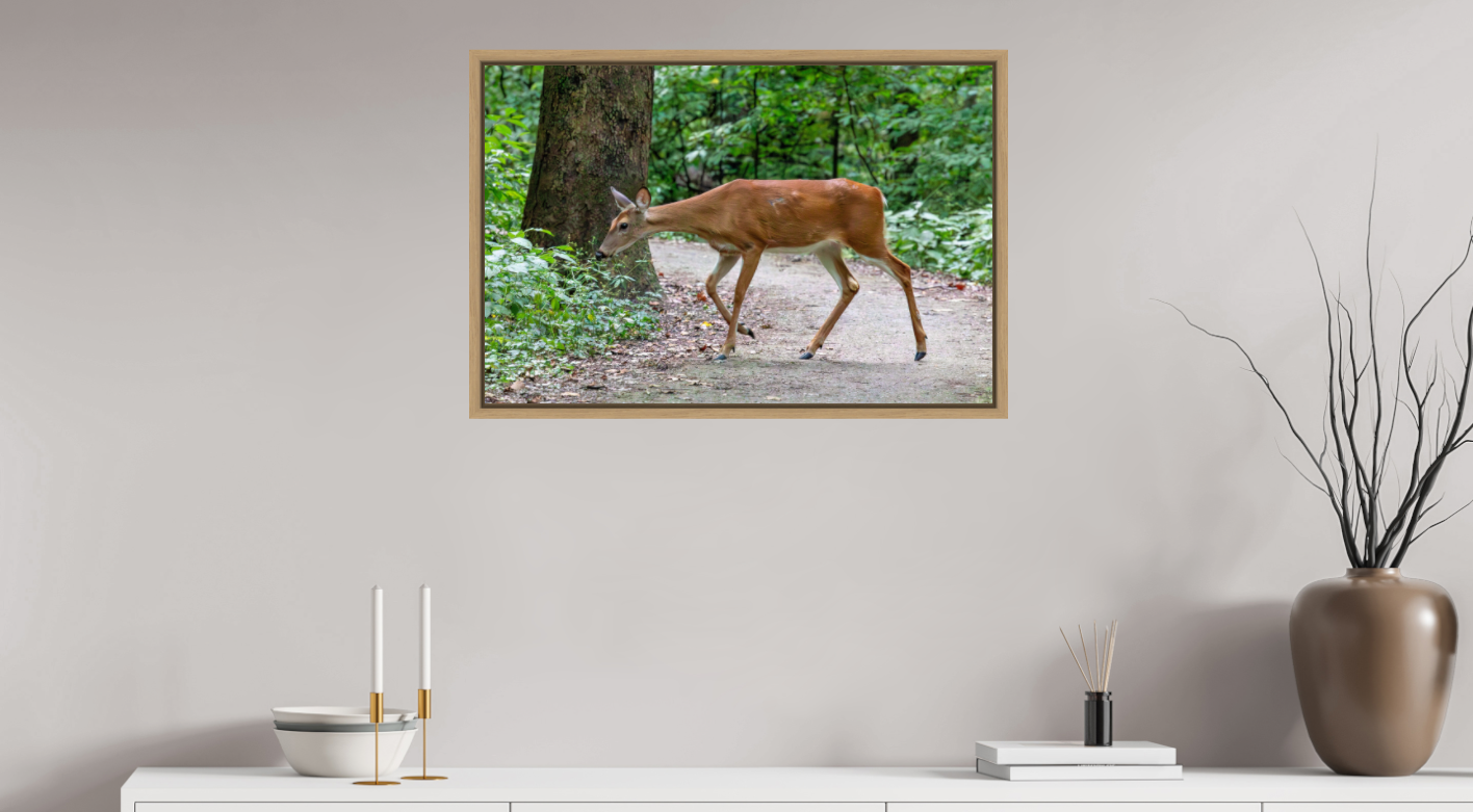 White-Tailed Deer on Hahnemühle Photo Rag Baryta (print only)