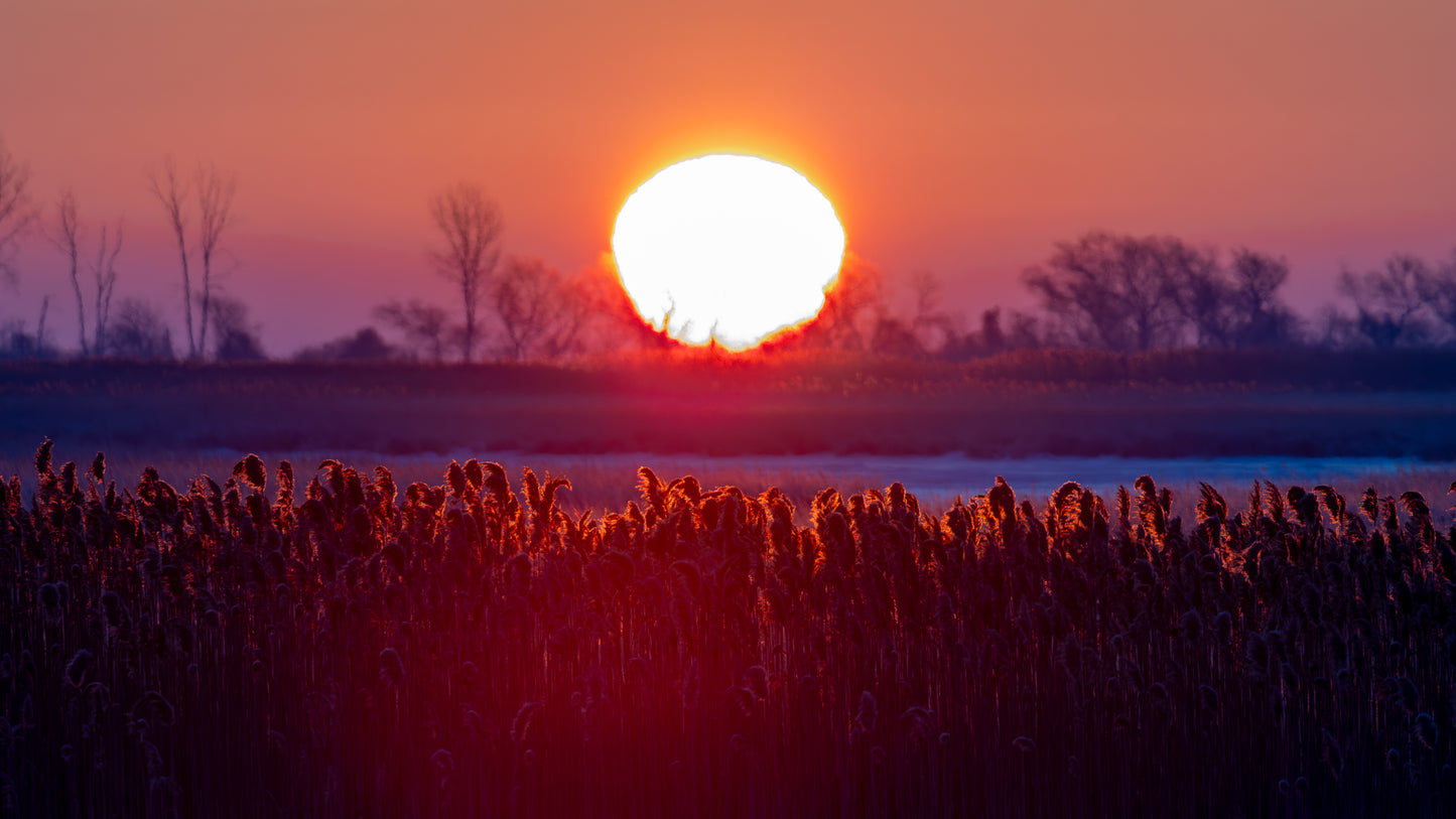 Ohio Sunrise on Hahnemühle FineArt Baryta (print only)
