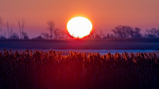 Ohio Sunrise on Hahnemühle FineArt Baryta (print only)