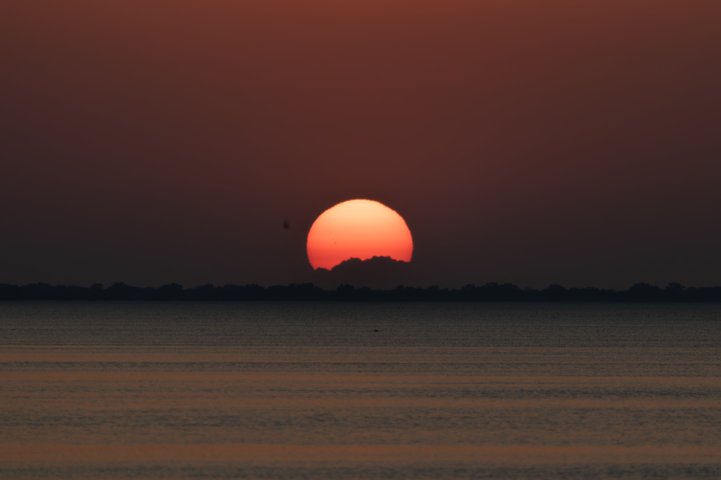Michigan Sunset (II) on Hahnemühle FineArt Pearl (print only)