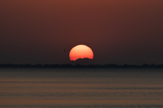 Michigan Sunset (II) on Hahnemühle FineArt Pearl (print only)