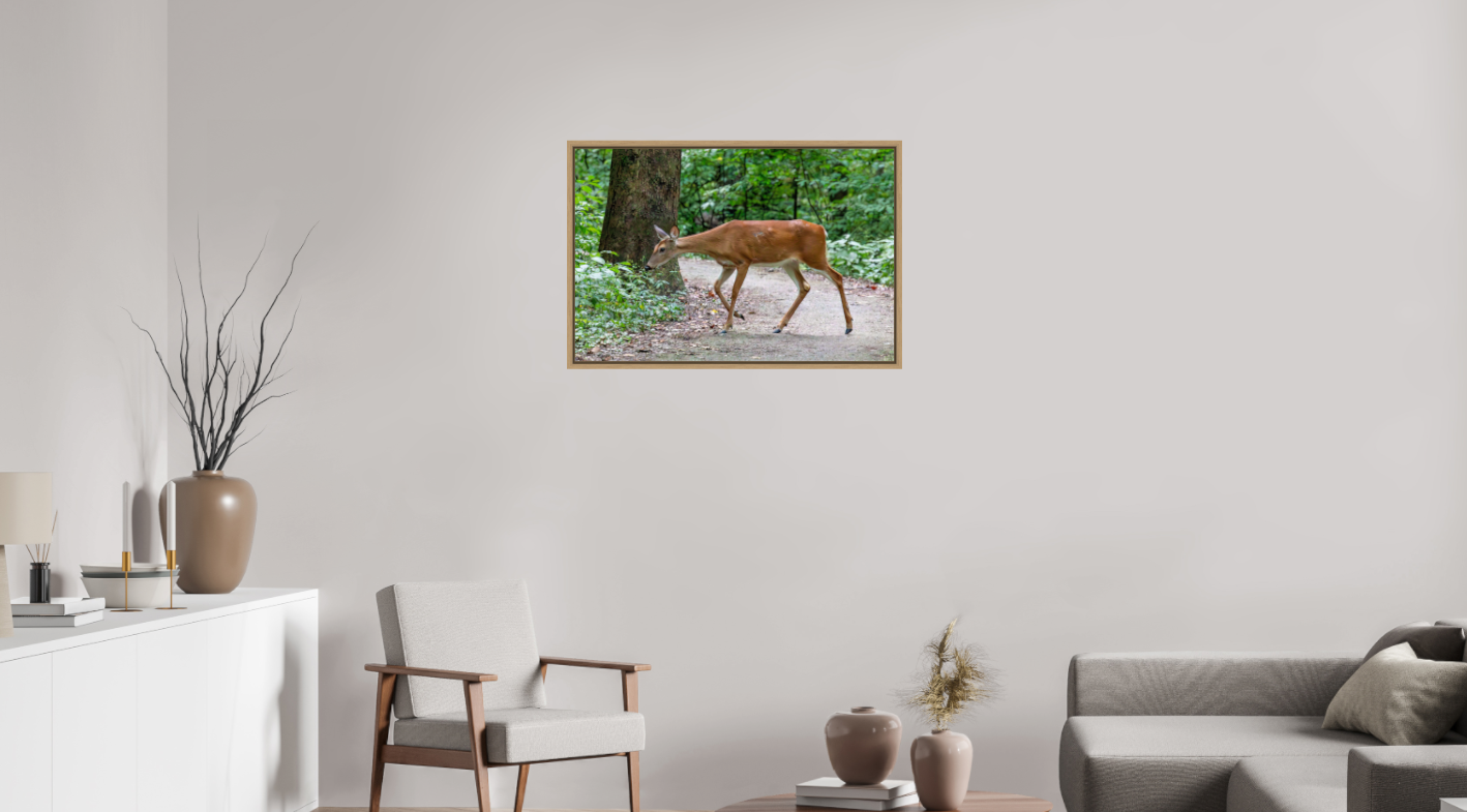 White-Tailed Deer on Hahnemühle Photo Rag Baryta (print only)